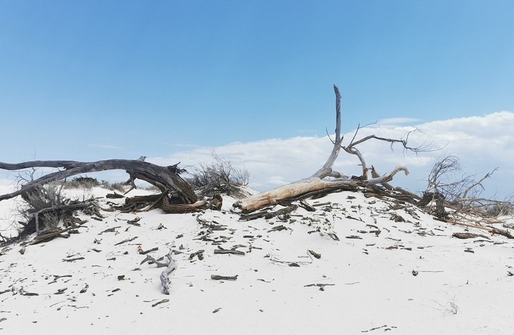 White Sands National Park